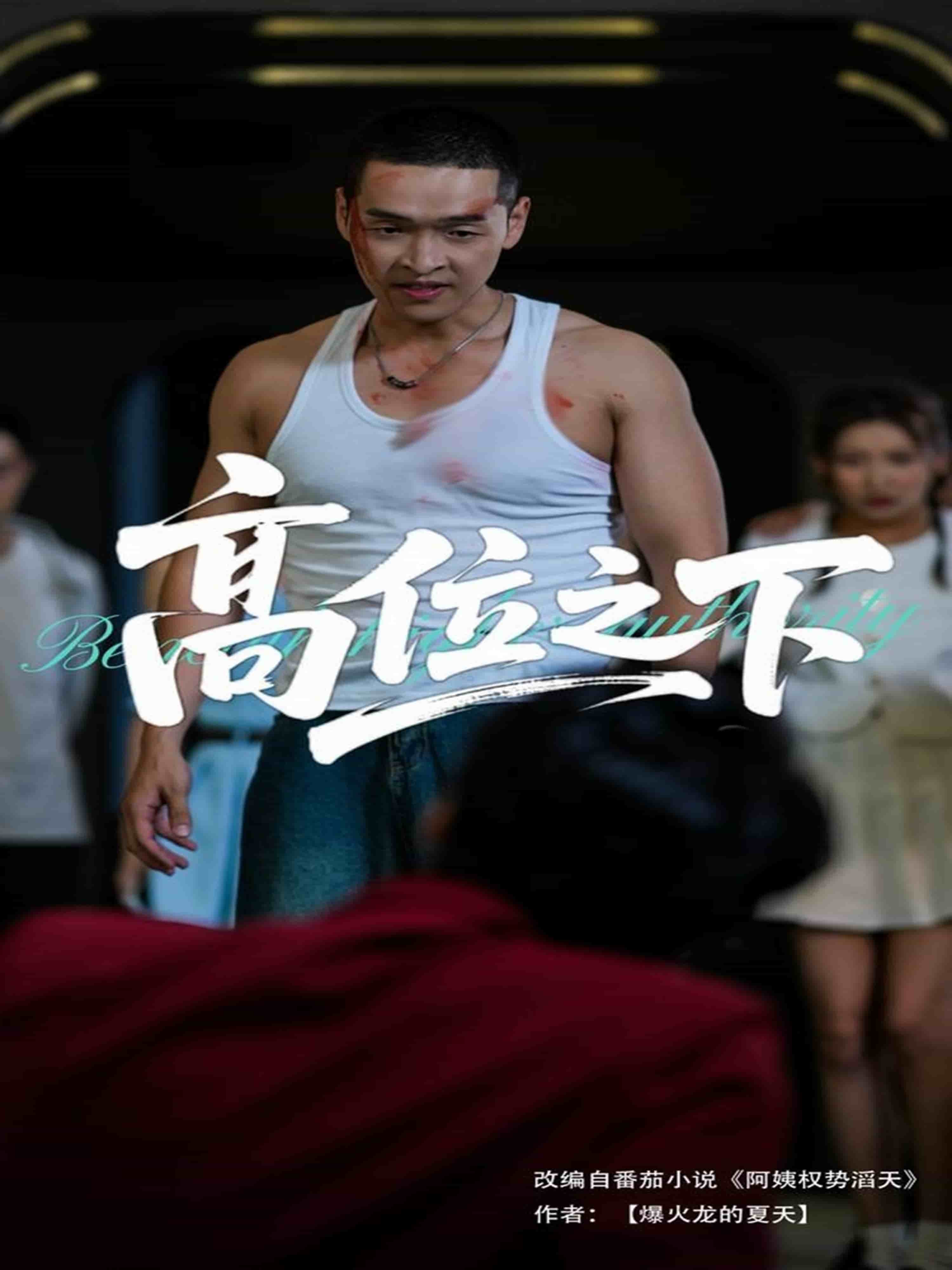 高位之下(全集)