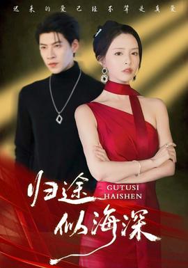 归途似海深(全集)