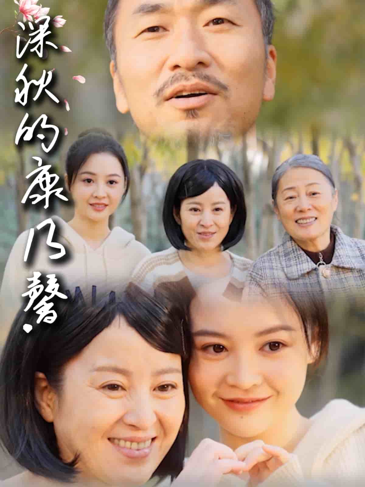 深秋的康乃馨(全集)