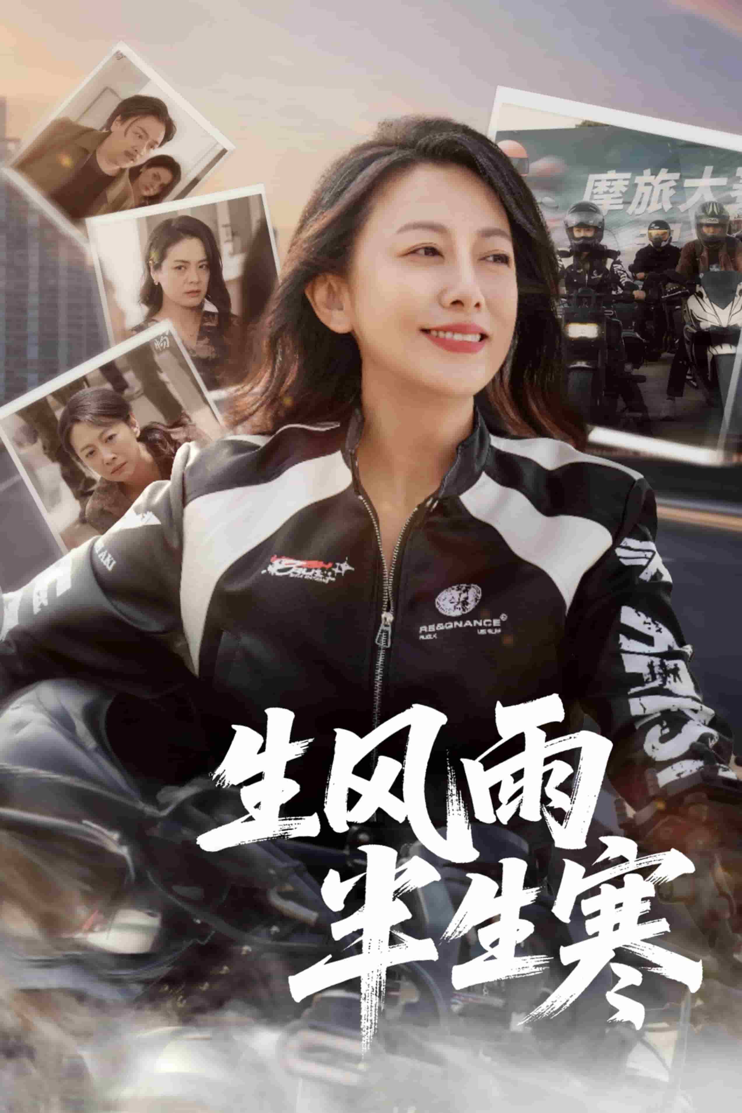 半生风雨半生寒(全集)