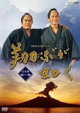宛如飞翔(全集)